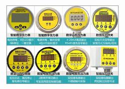 “唐山數(shù)字精密壓力表YK-100價格“/